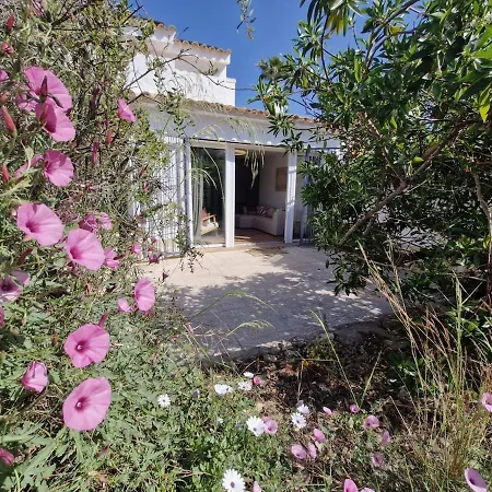 La Licorne, Semi Detached By Theka Services